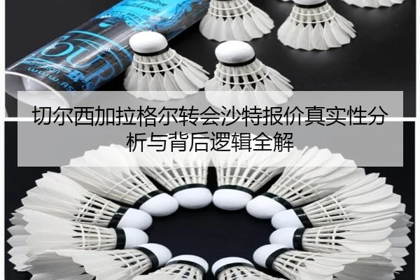 切尔西加拉格尔转会沙特报价真实性分析与背后逻辑全解